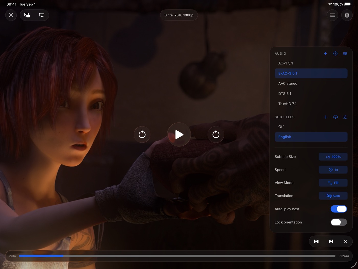 Audio tracks and subtitle languages in the player menu